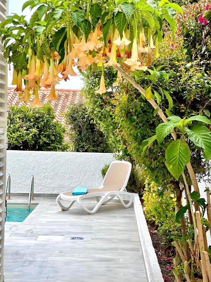 فيلا Wonderful House By The Sea نيرخا المظهر الخارجي الصورة
